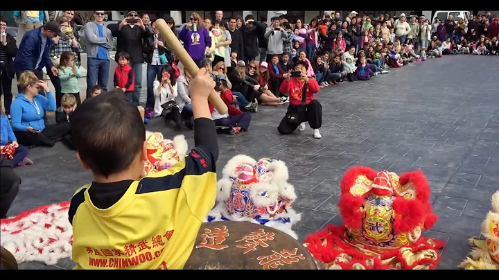 Tyler (5 Year Old) Lion dance Drumming Chinese New Year 2015 \\ VLOG