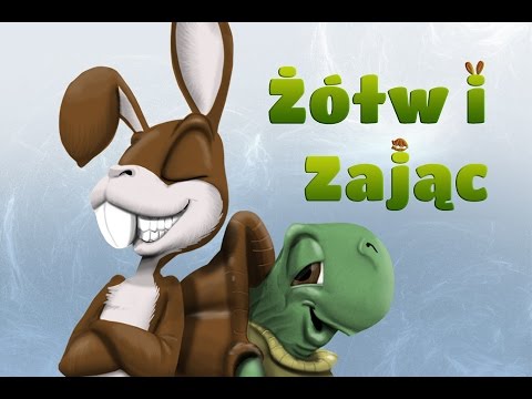 Wideo: Czego uczył Żółw Bert?