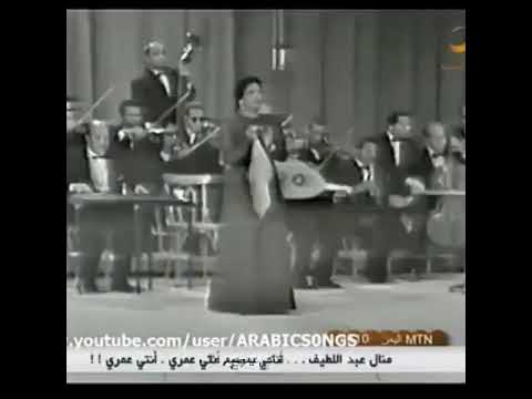 ابتديت دلوقتي بس احب عمرى