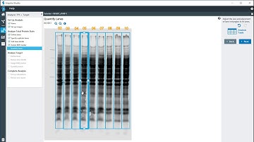 Target Analysis using a Total Protein Stain for Normalization in Empiria Studio Software
