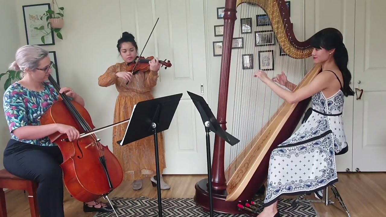 Harp, Cello & Violin Trio Hallelujah, Everything I Do & Moon River