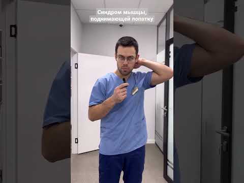 Подлопаточная мышца 3d