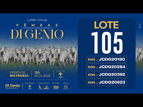 LOTE 105 JCDG 20190 JCDG 20284 JCDG 20392 JCDG 20623