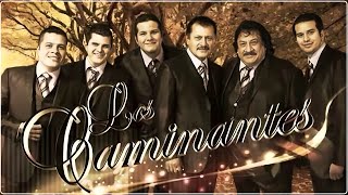 Los Caminantes ❤️ Mix Romanticas ❤️ 30 Grandes Exitos Romanticas ❤️ Musica Mexicanos Mix