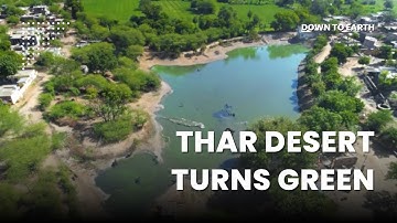 The Thar Desert is Greener than Ever - But at What Cost?