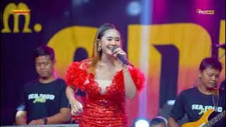 MEGA PUTIH - VERA PUSPITA | OM ADELLA LIVE BREBES [SEAFOOD SANTA]