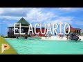 El Acuario | San Andrés #4 | Próxima Parada