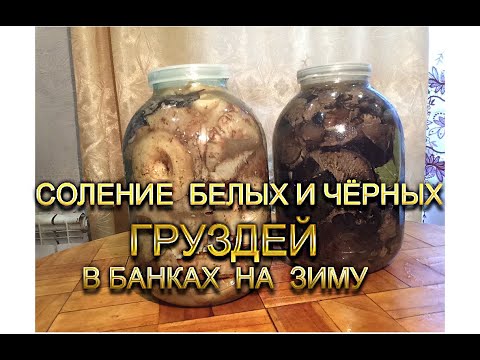 Соление белых и чёрных груздей в банках на зиму