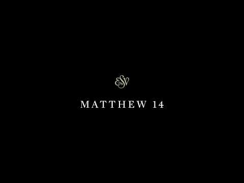 Matthew 14 -