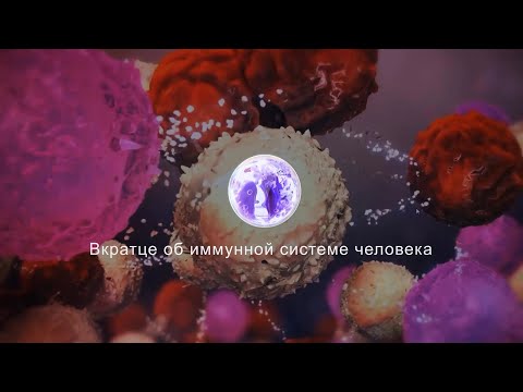 Вкратце об иммунной системе человека [HD]