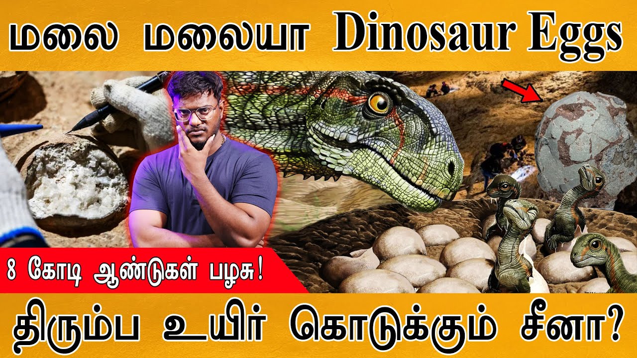 🦖மலை மலையாய் கிடைத்த டைனோசர் முட்டைகள்! 🥚| திரும்பவும் உயிர் கொடுக்கும் China? | Dinosaur Eggs |
