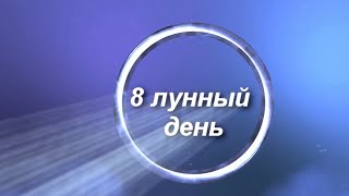 8 лунные сутки