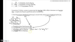 Mendelian Genetics worksheet 1