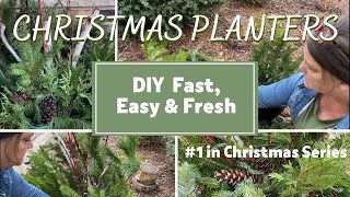 7 STEPS to DIY Christmas Outdoor Planters/Real Evergreens for Winter