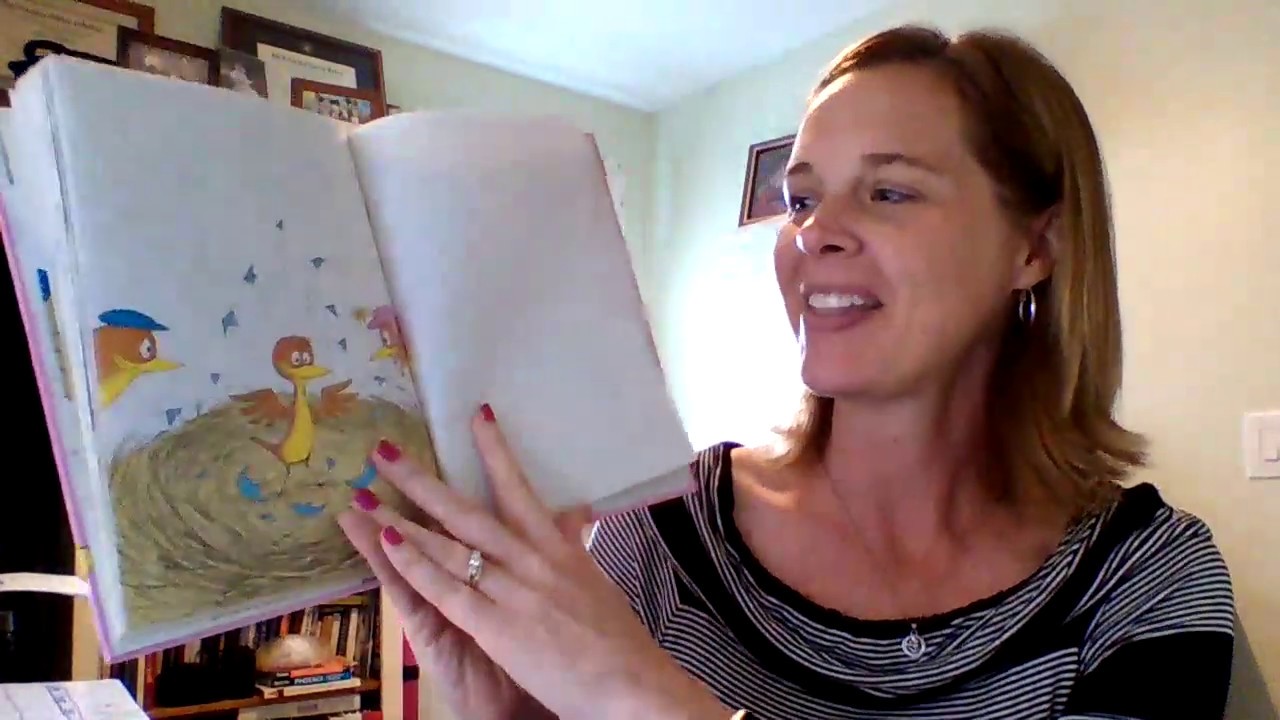 The Best Nest read aloud - YouTube