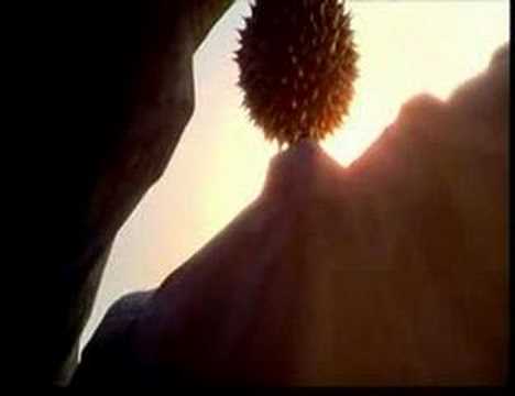 Imagen Trailer