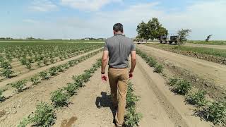 Bowles Farming Testimonial