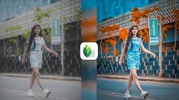 Snapseed Moody Blue Photo Editing | Snapseed Photo Editing | Snapseed Background Colour Change