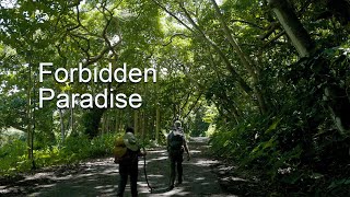 Waipio Valley, Hawaii