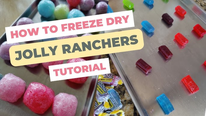 How does a freeze dryer make candy crunchy? #candeeze #freezedriedcand, freeze  dry machine