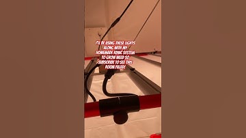 LED Grow Light For Hydroponics! #shorts #hydroponics #RDWC