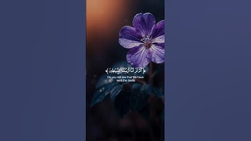 ارح سمعك و قلبك 🤍 قرآن كريم 🤍 اكتب شيئا تؤجر عليه 🤍