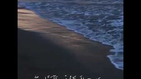 تلاوة خاشغة 😭تريح القلوب صوت الطفل انس الشهاب || حالات واتس اب واستغرام اسلامية قصيرة