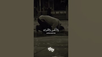 (ولنبلونكم بشئ من االخوف)#تلاوات_خاشعة#راحة_نفسية#راحة  #اسلام_صبحي#قرآن #قران_كريم #المحتوى_الرائج