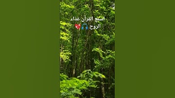 اكتب شئ تؤجر علية #دعاء_مستجاب #تلاوة_خاشعة #تلاوات #دعم #حالات #اكسبلور