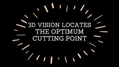 Scorpion Vision Post Harvest Vegetable Processing