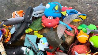 Sea Animal Toys at the River Shore