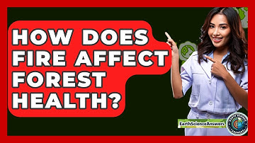 How Does Fire Affect Forest Health? - Earth Science Answers