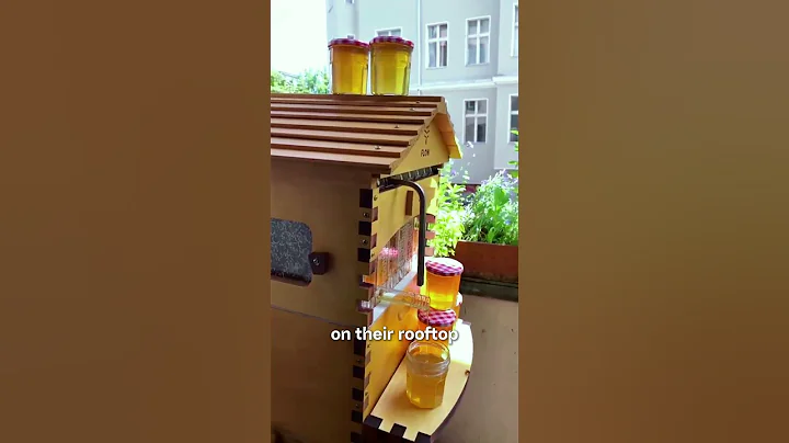 Do you need a big backyard to have bees?