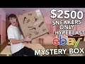 $2500 SNEAKERS ONLY EBAY HYPEBEAST MYSTERY BOX!