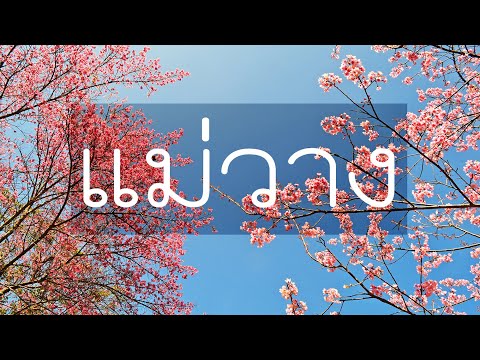 รวมแหล่งท่องเที่ยวอำเภอแม่วาง เชียงใหม่