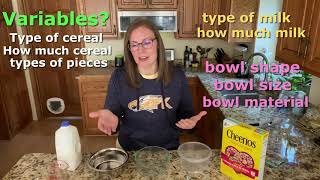 The Cheerios Effect Bowl Experiment