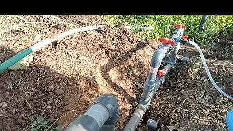 How to apply fertilizer on drip irrigation system #venturi system #agribusiness #kenya
