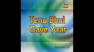 lambi judai heera jhankar naseebo lal album-tenu bhul gaye yar