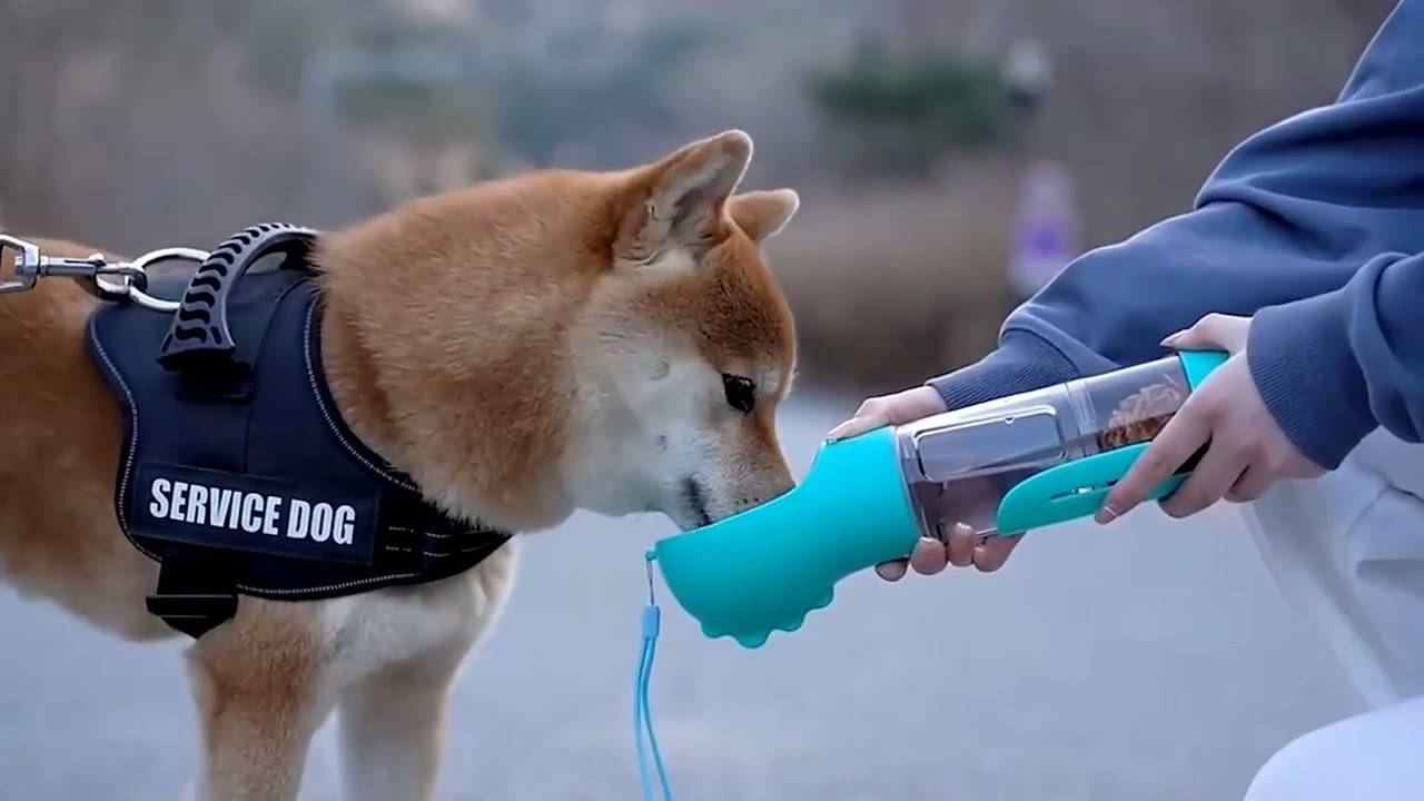 Portable Outdoor Safety Material Plastic Travel Dispenser Pet Care Cup Feeder Dog Water Bottle