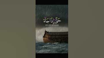 القارئ محمد الفقيه | قرآن كريم بصوت جميل