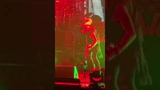 Simon Gallup A Forest And Epic Ending - The Cure Paris - 28.11.2022