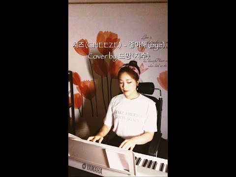 CHEEZE(치즈)_Love You(좋아해)(bye) cover by 드망(지수) 일반인 커버