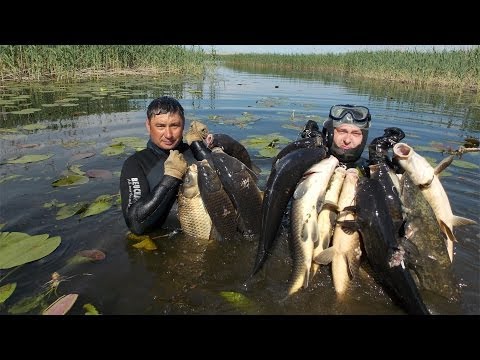 можно ли заниматься подводной охотой в нерест