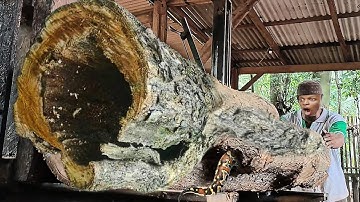 The discovery of a teak log full of disturbing lumps at the sawmill