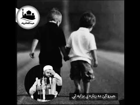 ماموستا فرياد مجيد جباري جيروكي ده رباره ي برأيه تي كه دوباره نابي ته وه