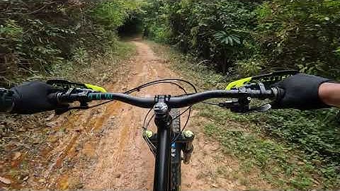 Pipedream Moxie Solo ride CDK BDB