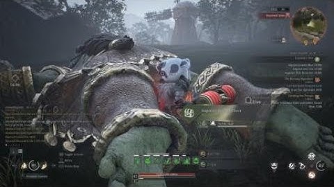 Bless Unleashed RS Zerk OP