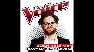 Watch Josh Kaufman I Cant Make You Love Me video