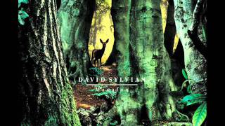 David  Sylvian - Random Acts of Senseless Violence