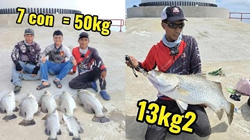 Trúng bầy cá chẽm hugo ở điện gió Hòa Bình   1 ngày kéo hơn 50kg cá